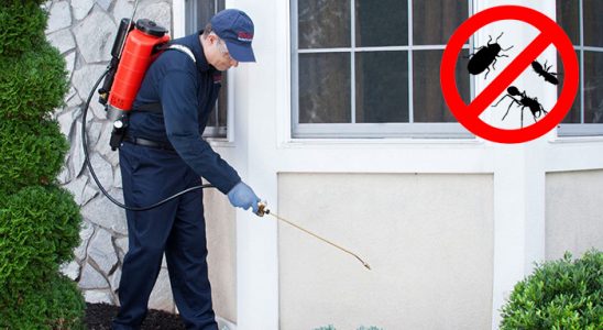 Küçükyalı Dezenfeksiyon böcek ilaçlama ve haşere kontrolü — ilaclama-tr.com